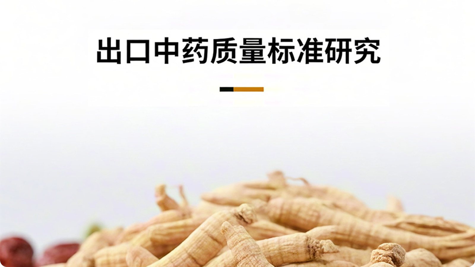 标准化建设